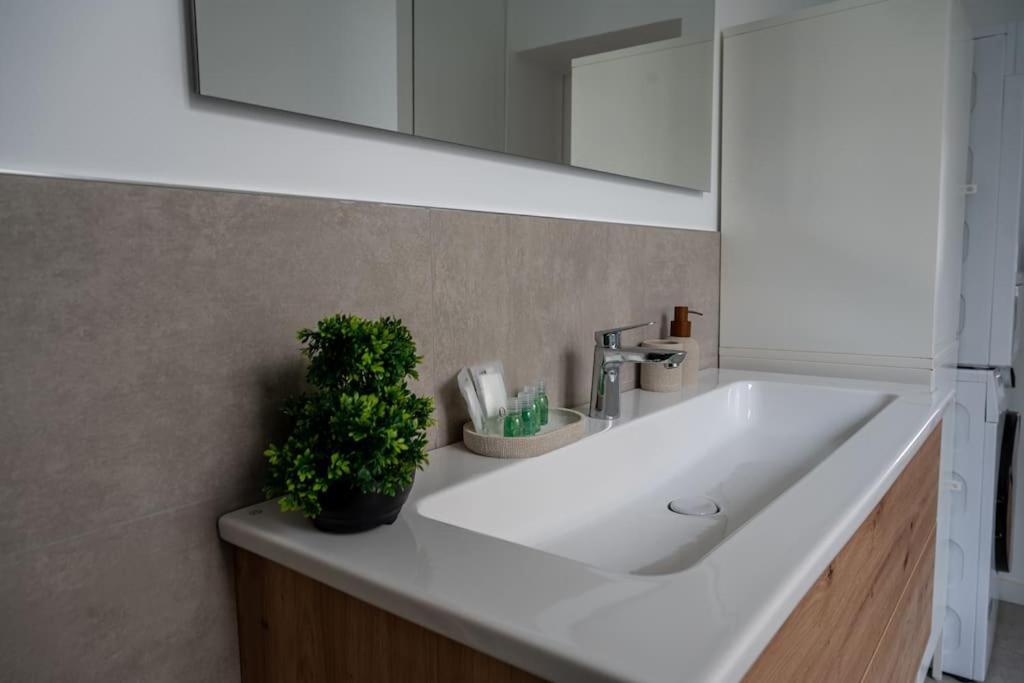 Le Solfe -Magnifique T2 Apartment Lille Luaran gambar